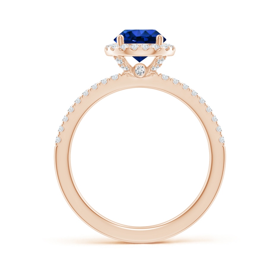 6.5mm AAAA Round Blue Sapphire Classic Halo Engagement Ring in Rose Gold side 199