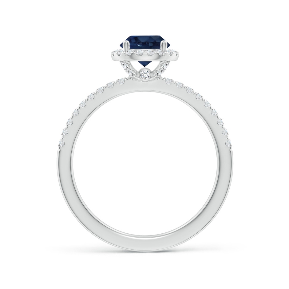 6mm AA Round Blue Sapphire Classic Halo Engagement Ring in P950 Platinum side 199