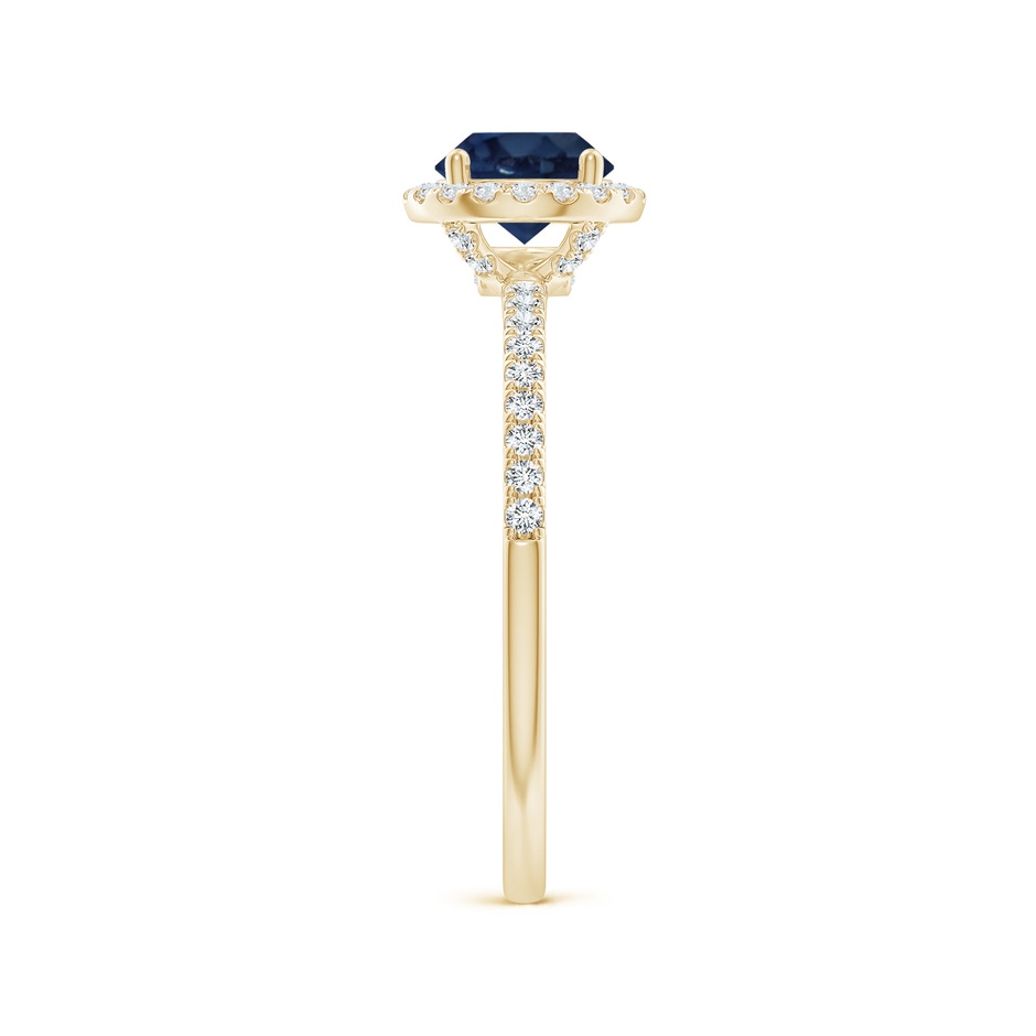 6mm AA Round Blue Sapphire Classic Halo Engagement Ring in Yellow Gold side 299