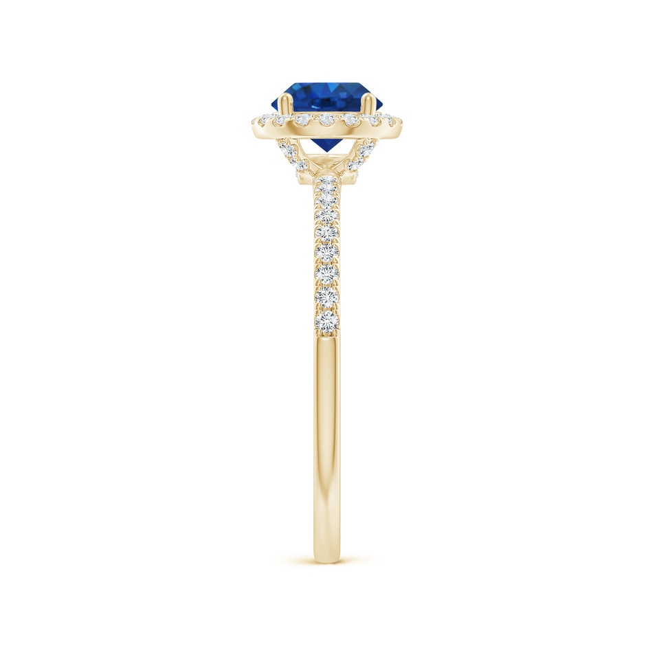 6mm AAA Round Blue Sapphire Classic Halo Engagement Ring in Yellow Gold side 299