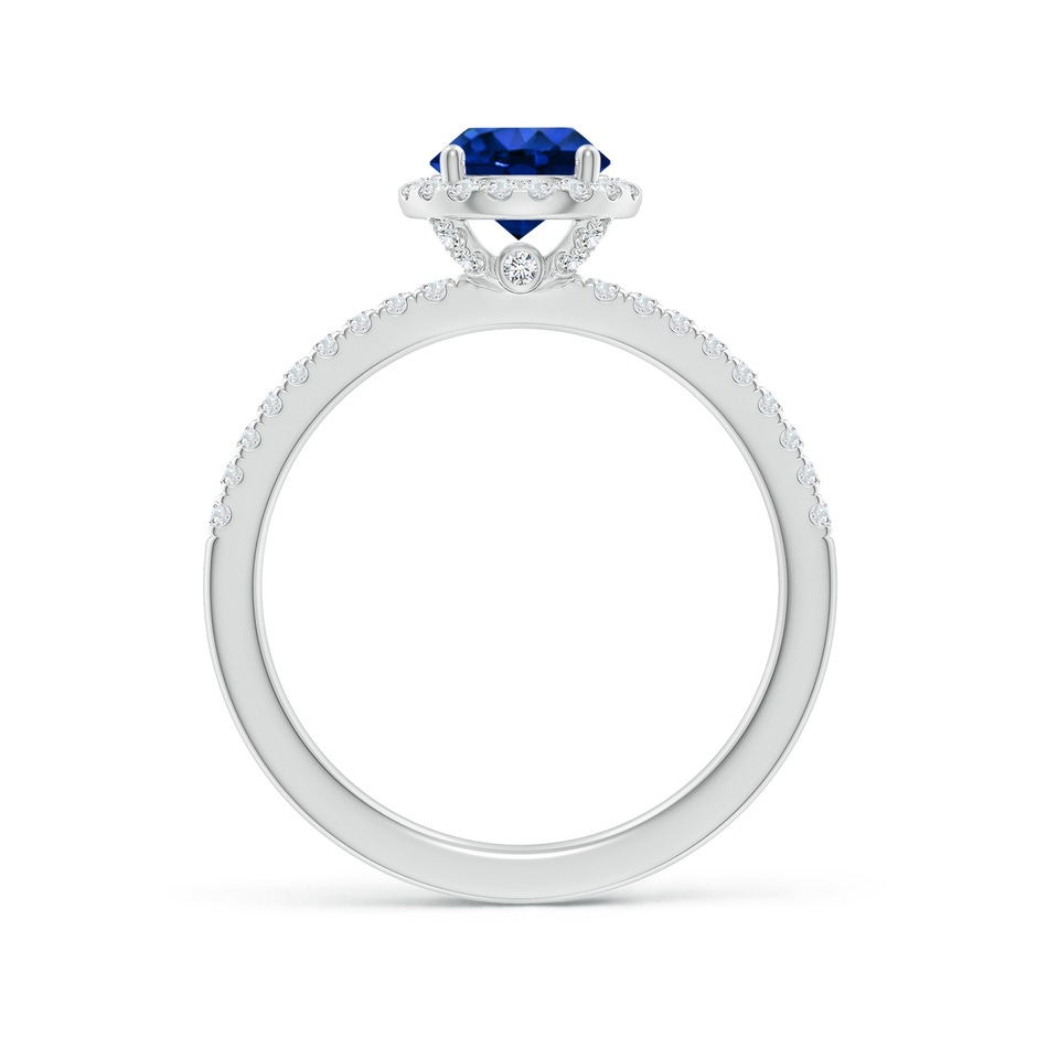 6mm AAAA Round Blue Sapphire Classic Halo Engagement Ring in P950 Platinum side 199