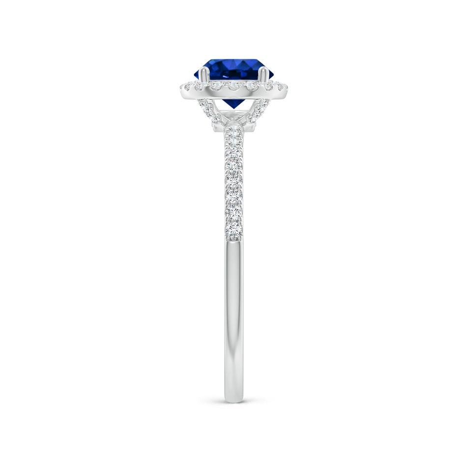 6mm AAAA Round Blue Sapphire Classic Halo Engagement Ring in P950 Platinum side 299