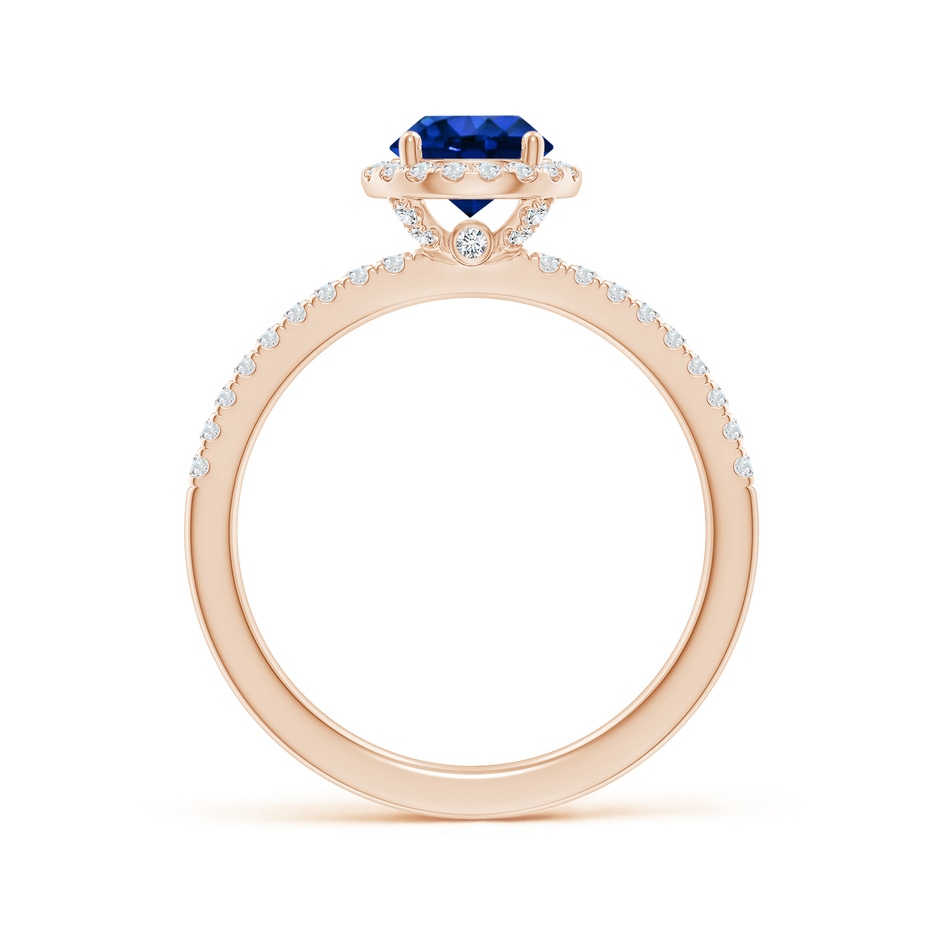 6mm AAAA Round Blue Sapphire Classic Halo Engagement Ring in Rose Gold side 199
