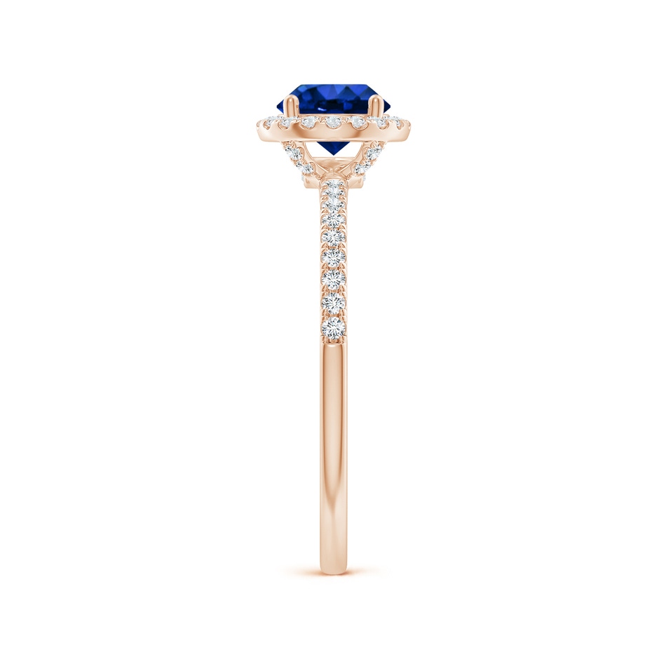6mm AAAA Round Blue Sapphire Classic Halo Engagement Ring in Rose Gold side 299