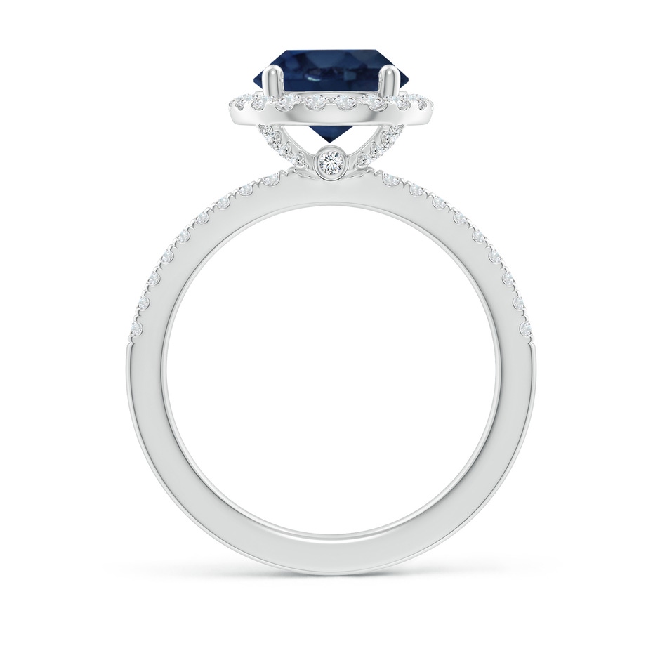 8mm AA Round Blue Sapphire Classic Halo Engagement Ring in P950 Platinum side 199