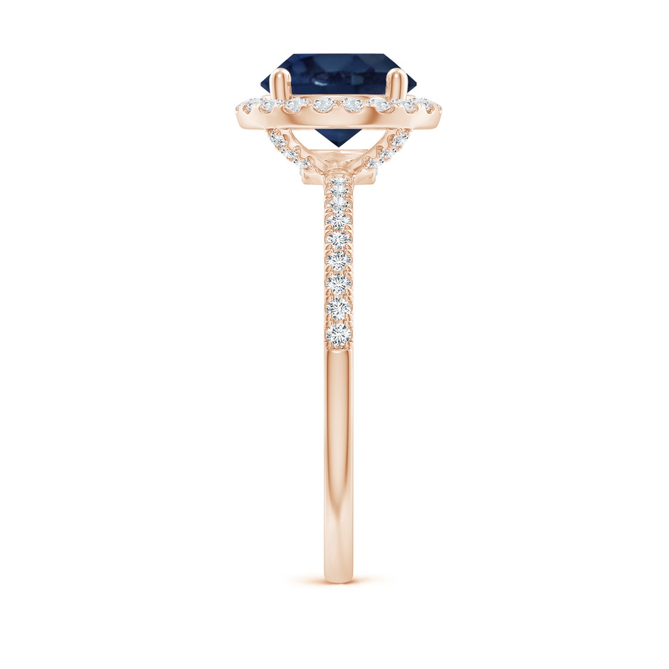 8mm AA Round Blue Sapphire Classic Halo Engagement Ring in Rose Gold side 299