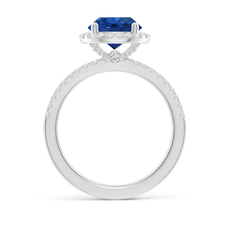 8mm AAA Round Blue Sapphire Classic Halo Engagement Ring in White Gold side 199