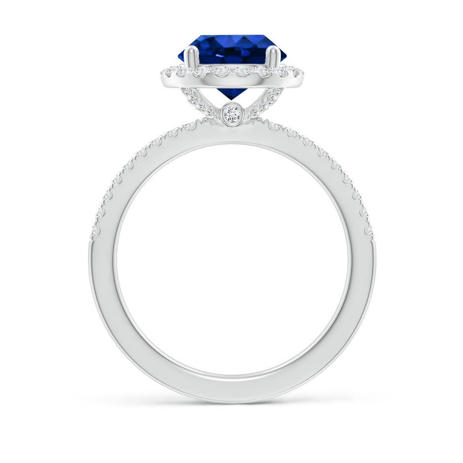 8mm AAAA Round Blue Sapphire Classic Halo Engagement Ring in P950 Platinum side 199