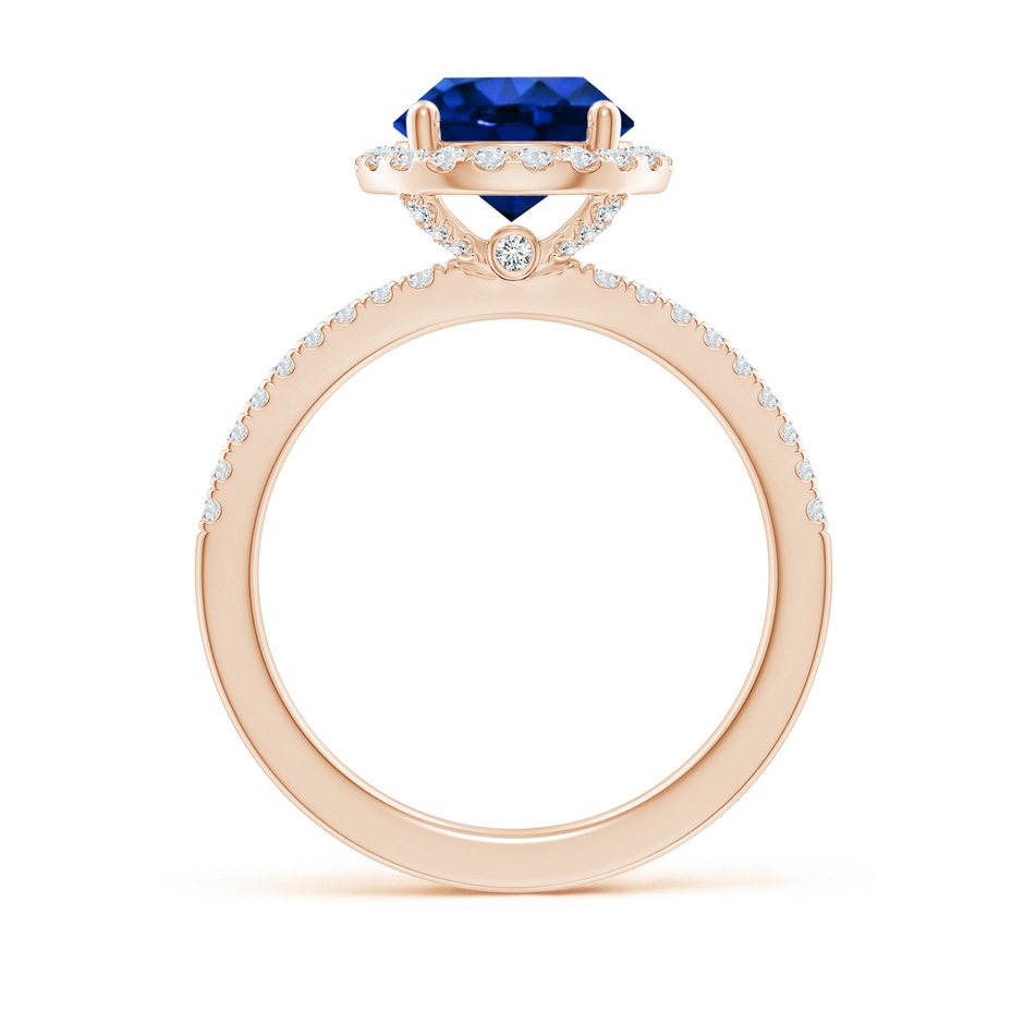 8mm AAAA Round Blue Sapphire Classic Halo Engagement Ring in Rose Gold side 199