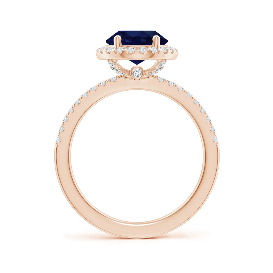 10x8mm A Oval Blue Sapphire Classic Halo Engagement Ring in Rose Gold side 199