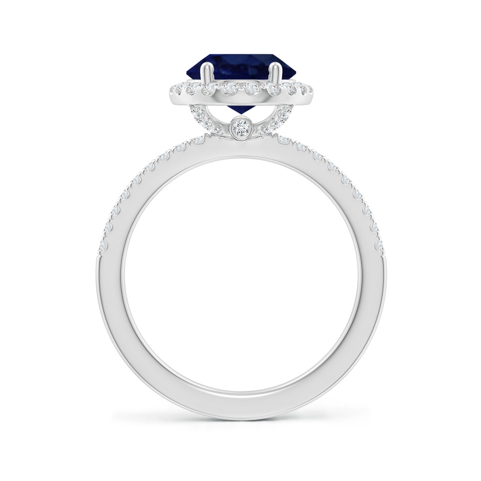 10x8mm A Oval Blue Sapphire Classic Halo Engagement Ring in White Gold side 199