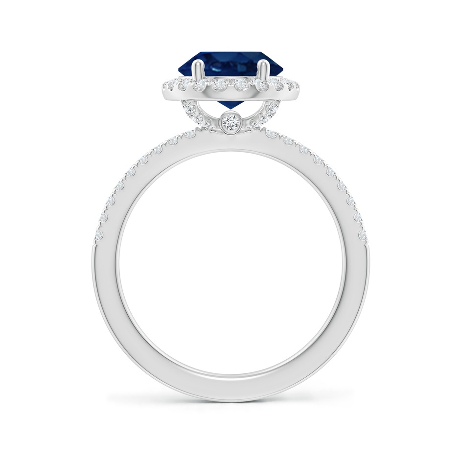 10x8mm AA Oval Blue Sapphire Classic Halo Engagement Ring in P950 Platinum side 199