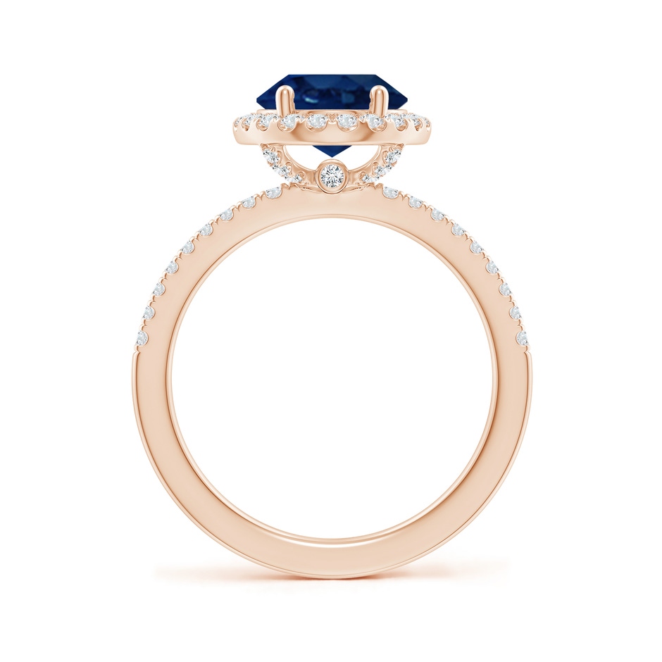 10x8mm AA Oval Blue Sapphire Classic Halo Engagement Ring in Rose Gold side 199