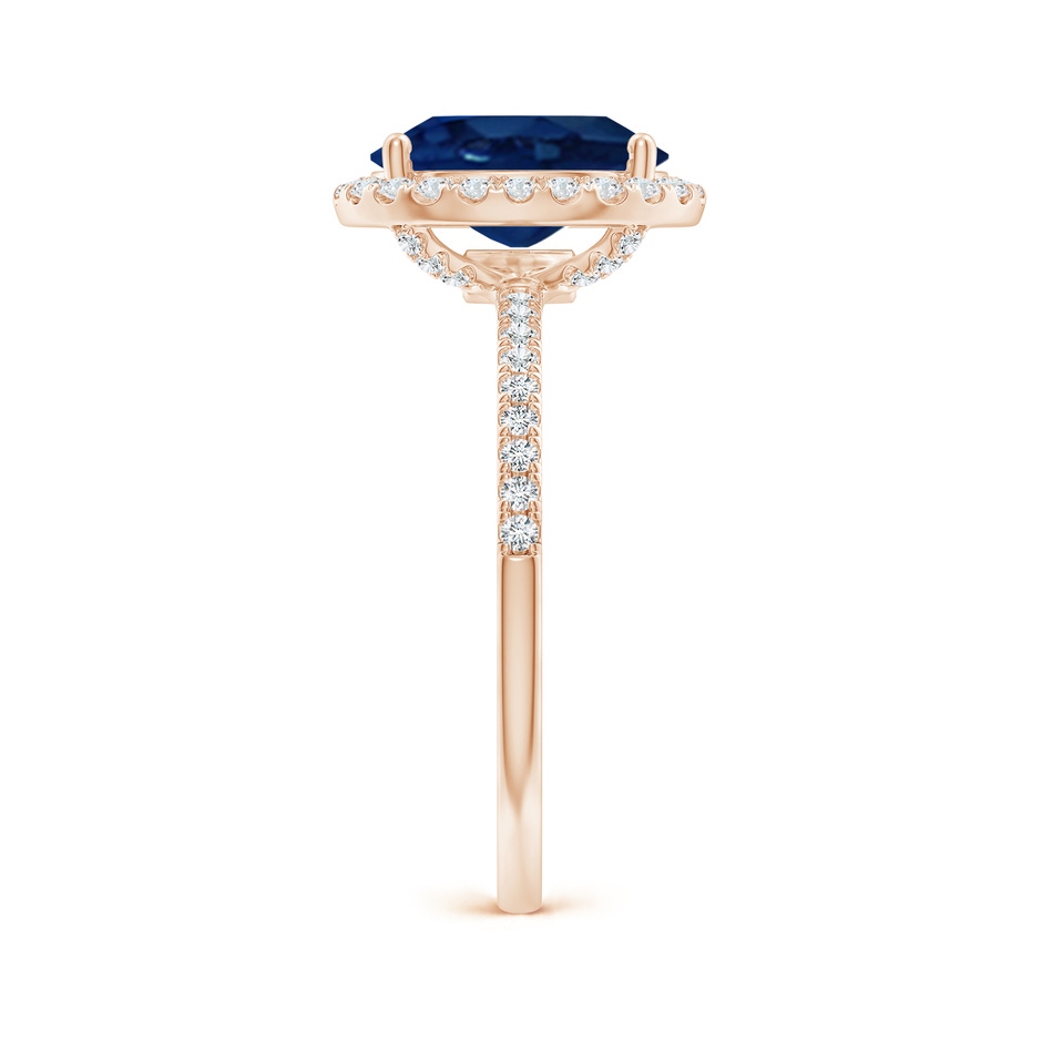 10x8mm AA Oval Blue Sapphire Classic Halo Engagement Ring in Rose Gold side 299