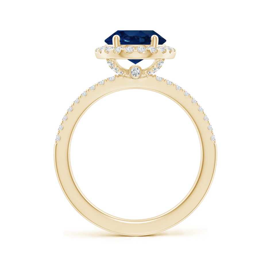 10x8mm AA Oval Blue Sapphire Classic Halo Engagement Ring in Yellow Gold side 199