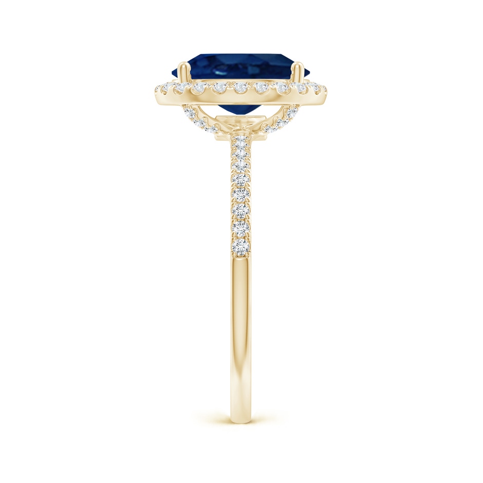 10x8mm AA Oval Blue Sapphire Classic Halo Engagement Ring in Yellow Gold side 299