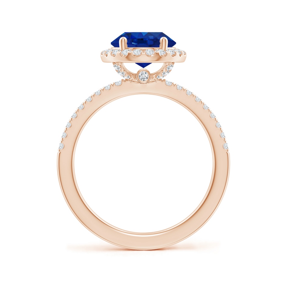 10x8mm AAA Oval Blue Sapphire Classic Halo Engagement Ring in 18K Rose Gold side 199