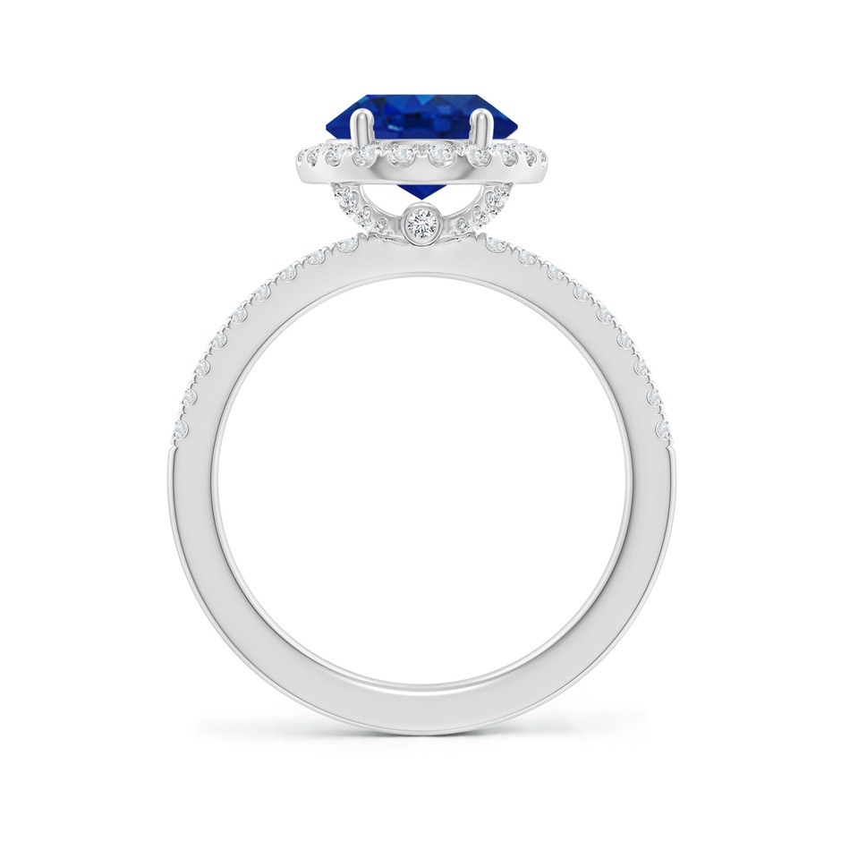 10x8mm AAA Oval Blue Sapphire Classic Halo Engagement Ring in P950 Platinum side 199