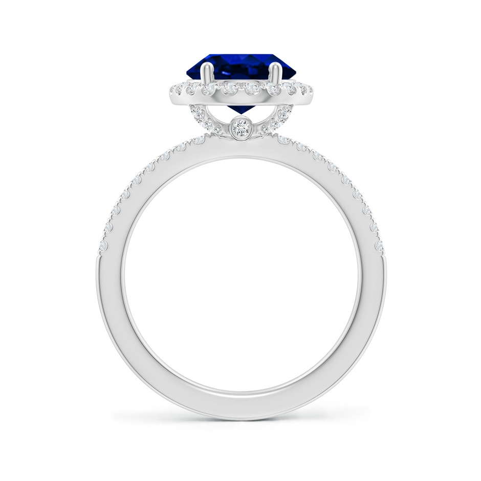 10x8mm AAAA Oval Blue Sapphire Classic Halo Engagement Ring in P950 Platinum side 199