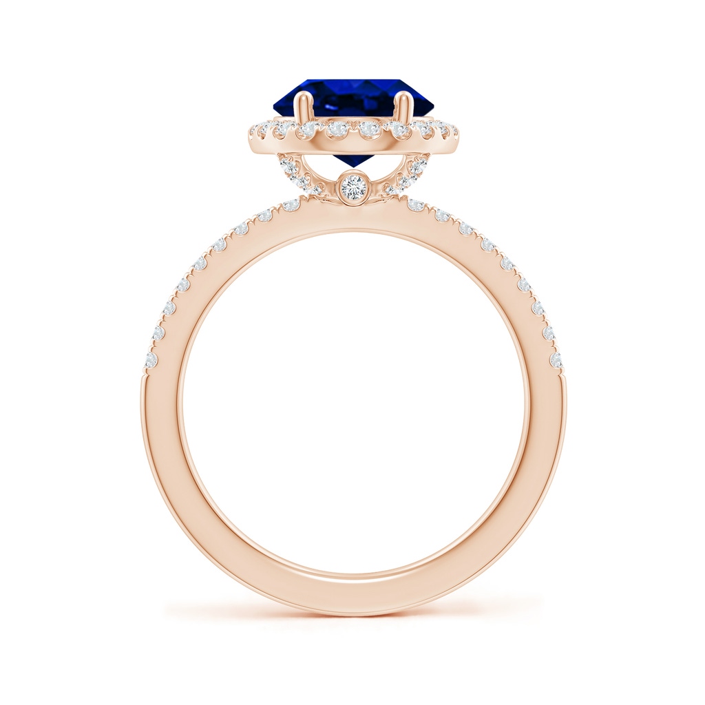 10x8mm Lab-Grown Oval Blue Sapphire Classic Halo Engagement Ring in Rose Gold - side 199