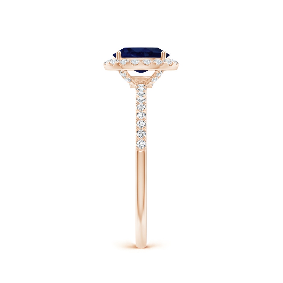 7x5mm A Oval Blue Sapphire Classic Halo Engagement Ring in Rose Gold side 299
