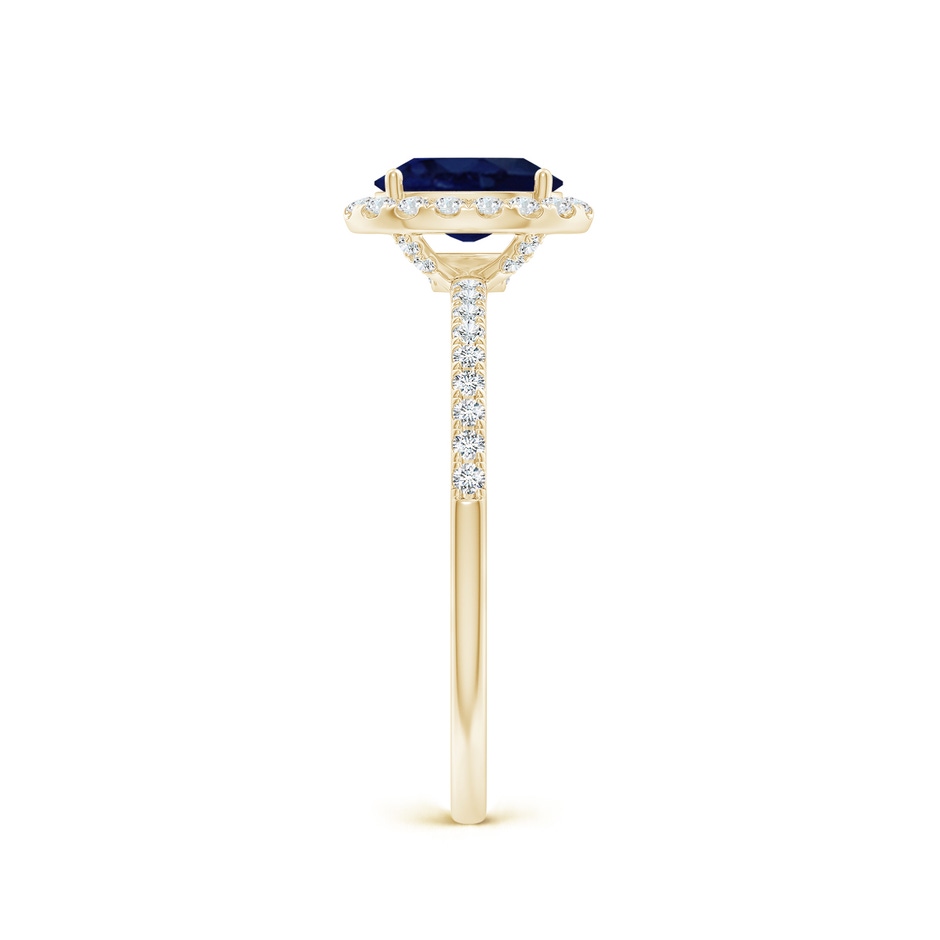 7x5mm A Oval Blue Sapphire Classic Halo Engagement Ring in Yellow Gold side 299