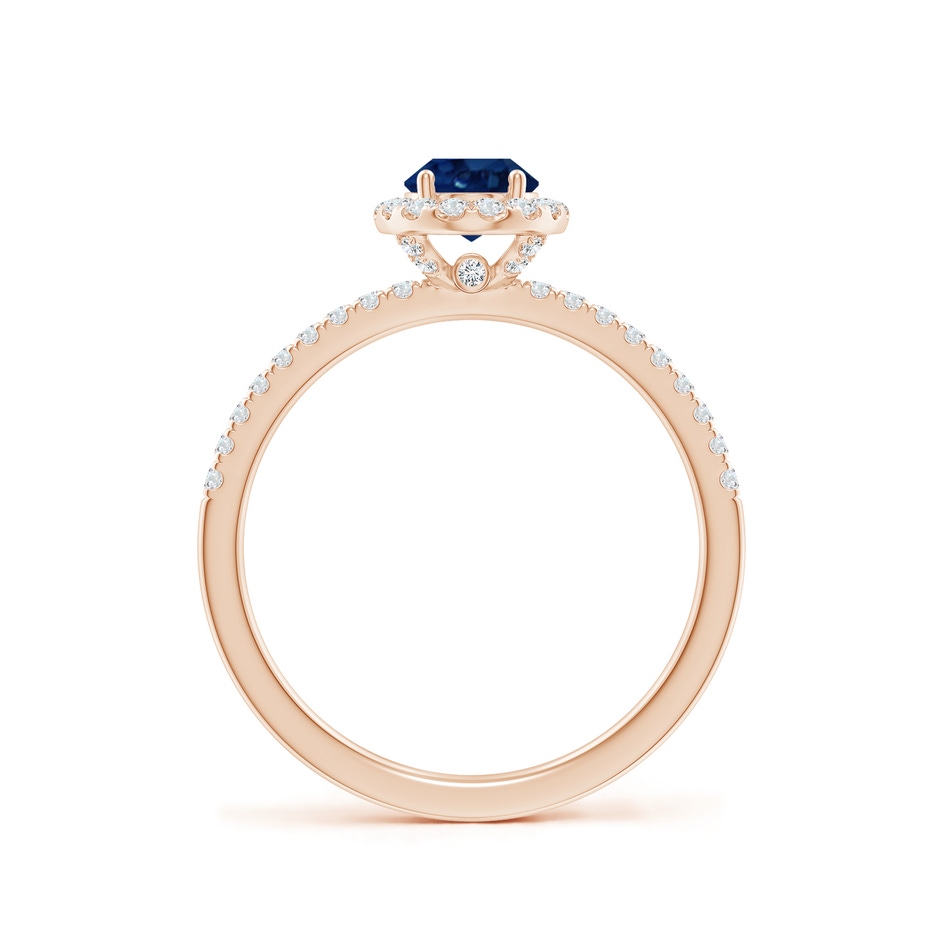7x5mm AA Oval Blue Sapphire Classic Halo Engagement Ring in Rose Gold side 199