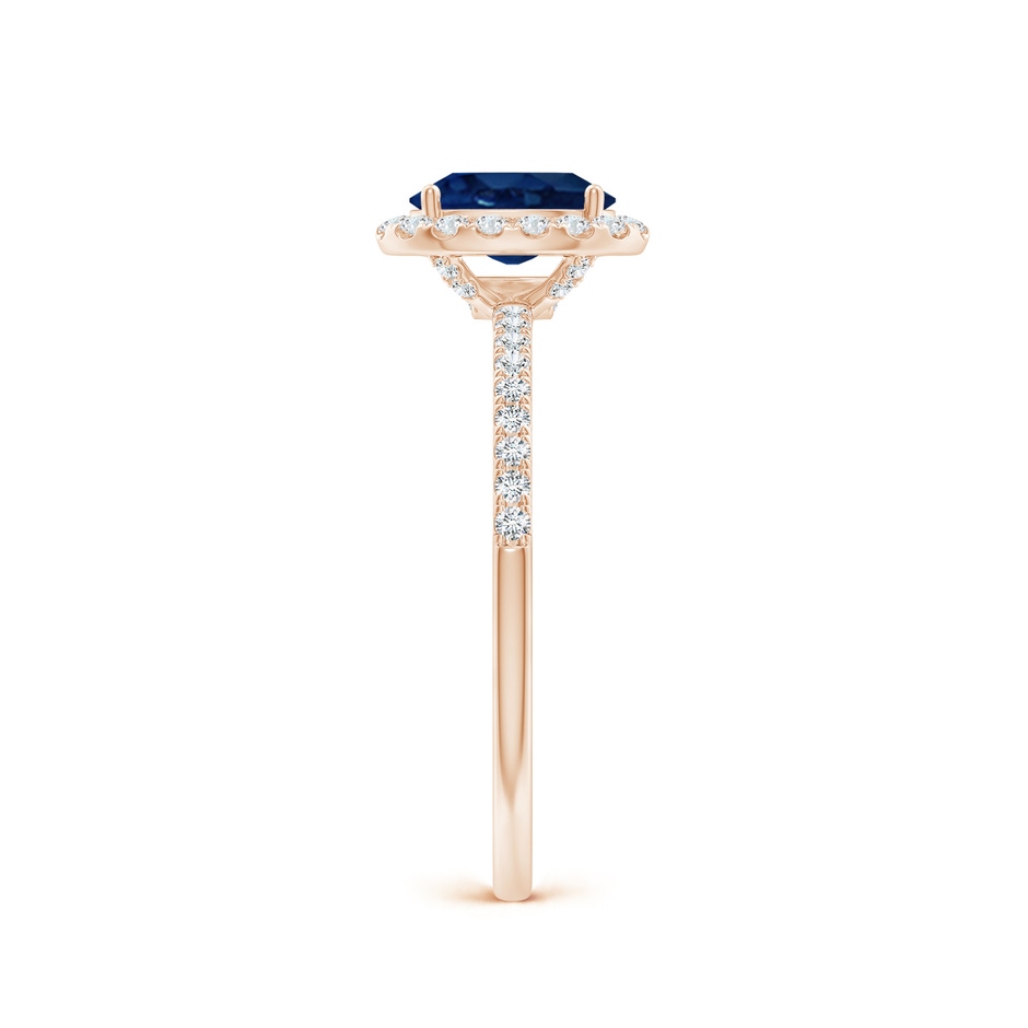 7x5mm AA Oval Blue Sapphire Classic Halo Engagement Ring in Rose Gold side 299