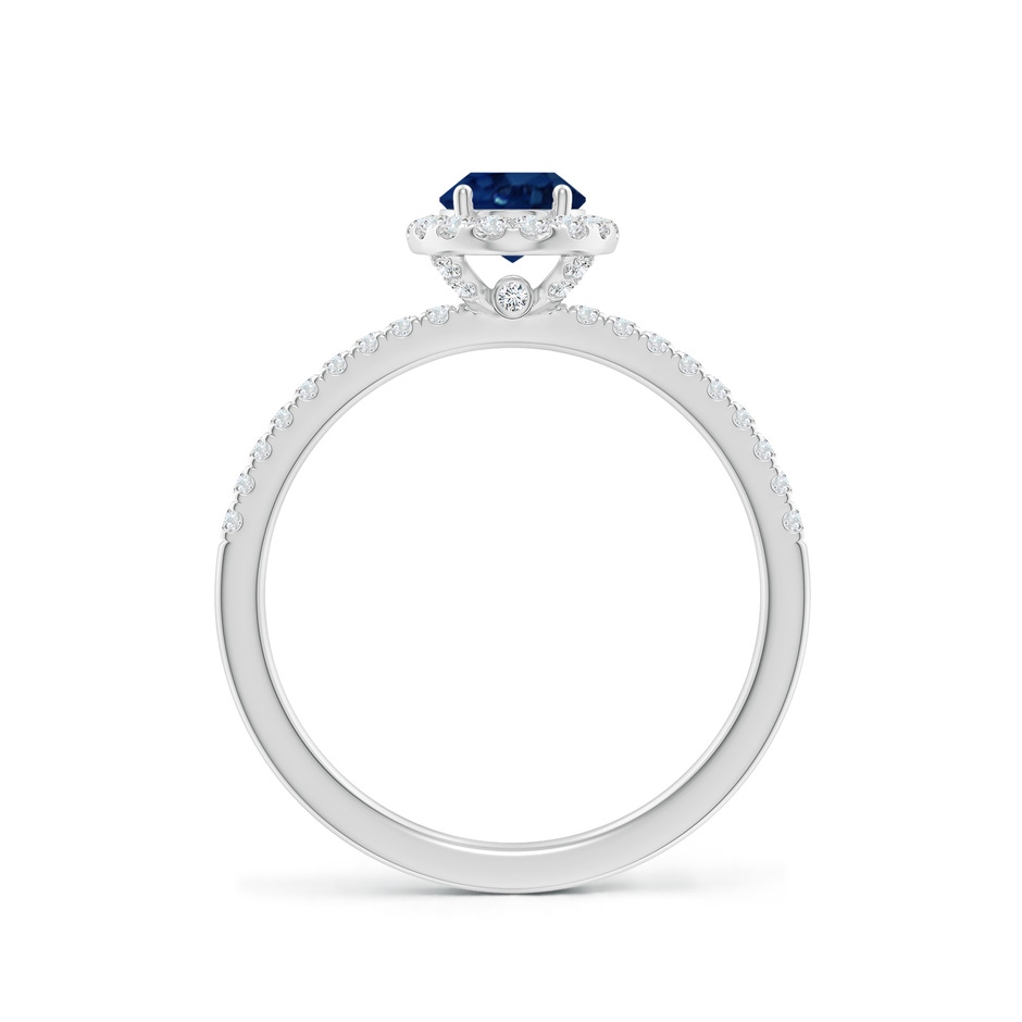 7x5mm AA Oval Blue Sapphire Classic Halo Engagement Ring in White Gold side 199