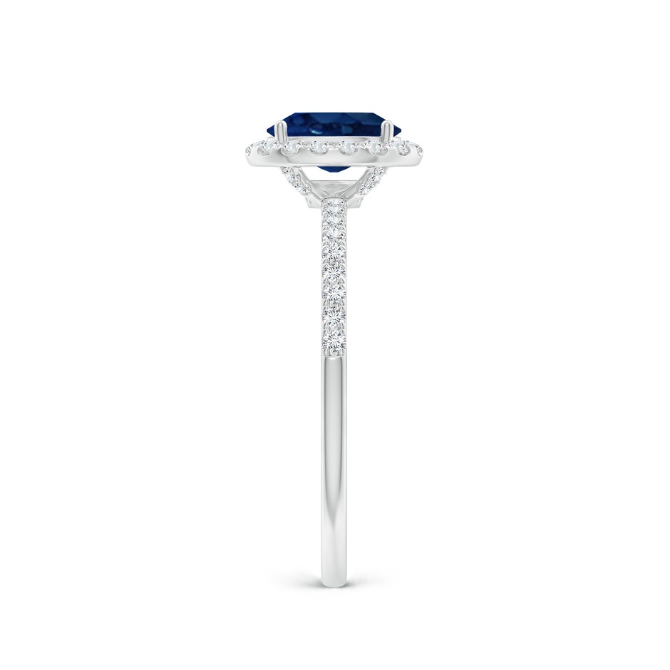 7x5mm AA Oval Blue Sapphire Classic Halo Engagement Ring in White Gold side 299