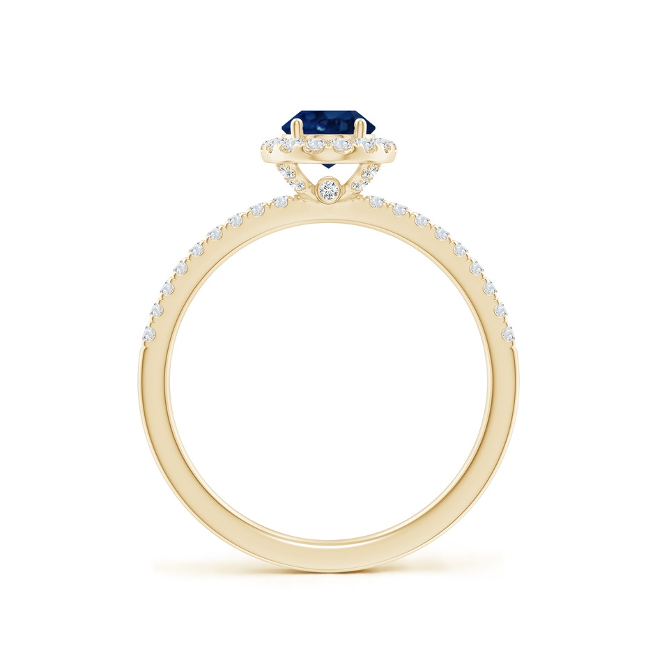 7x5mm AA Oval Blue Sapphire Classic Halo Engagement Ring in Yellow Gold side 199