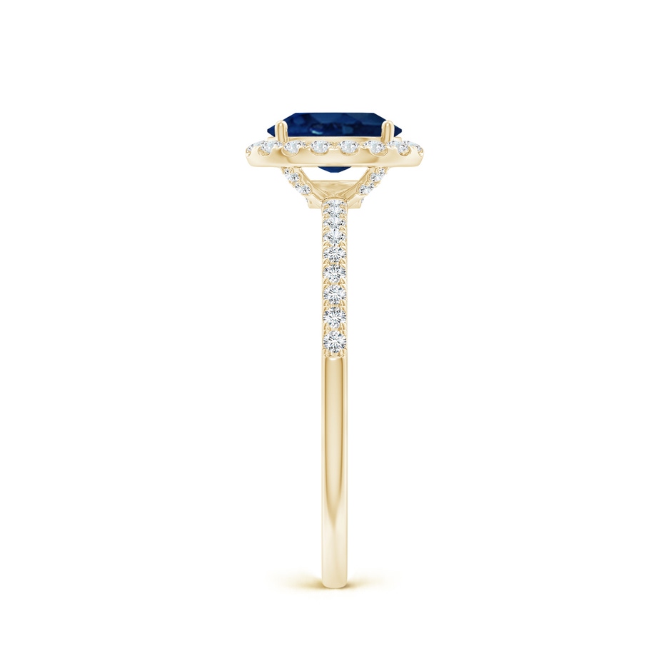 7x5mm AA Oval Blue Sapphire Classic Halo Engagement Ring in Yellow Gold side 299
