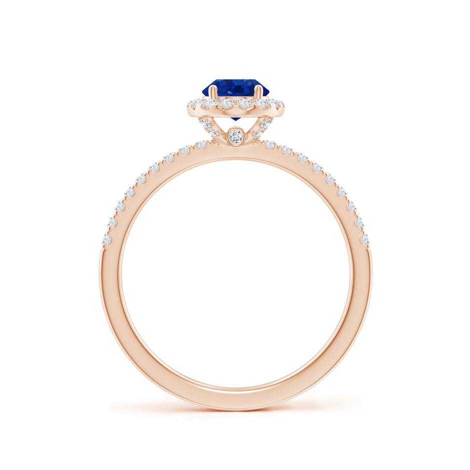7x5mm AAA Oval Blue Sapphire Classic Halo Engagement Ring in Rose Gold side 199