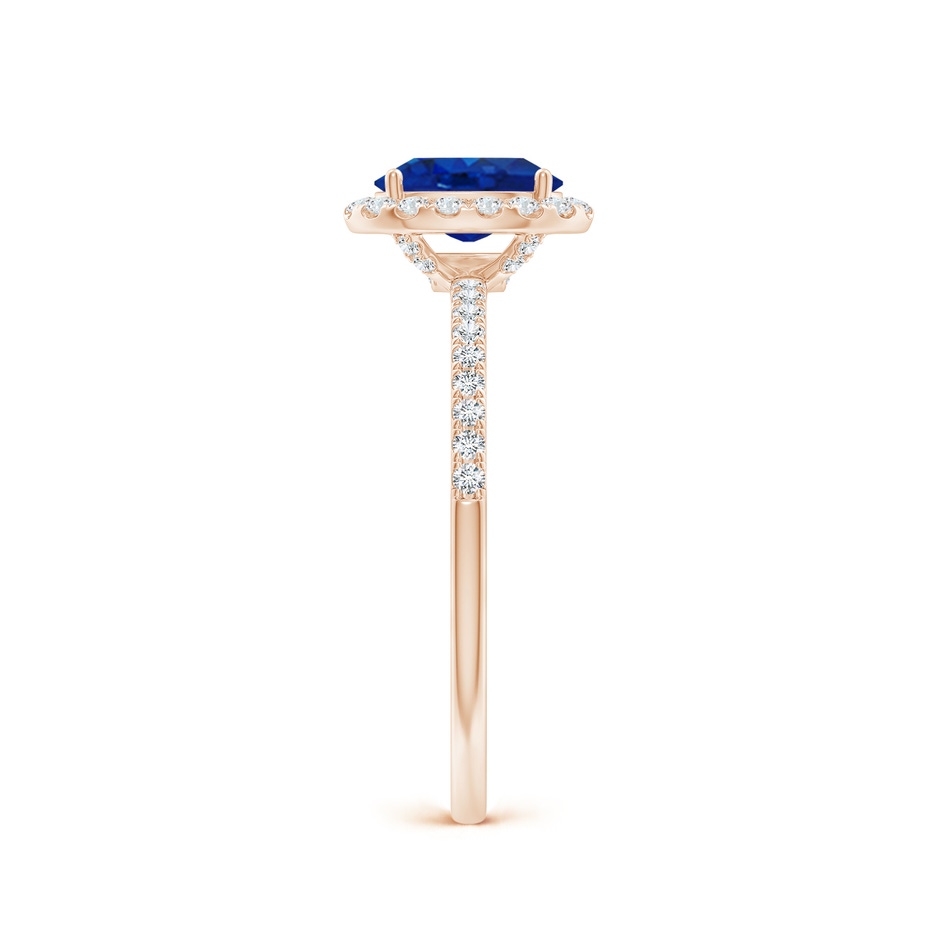 7x5mm AAA Oval Blue Sapphire Classic Halo Engagement Ring in Rose Gold side 299