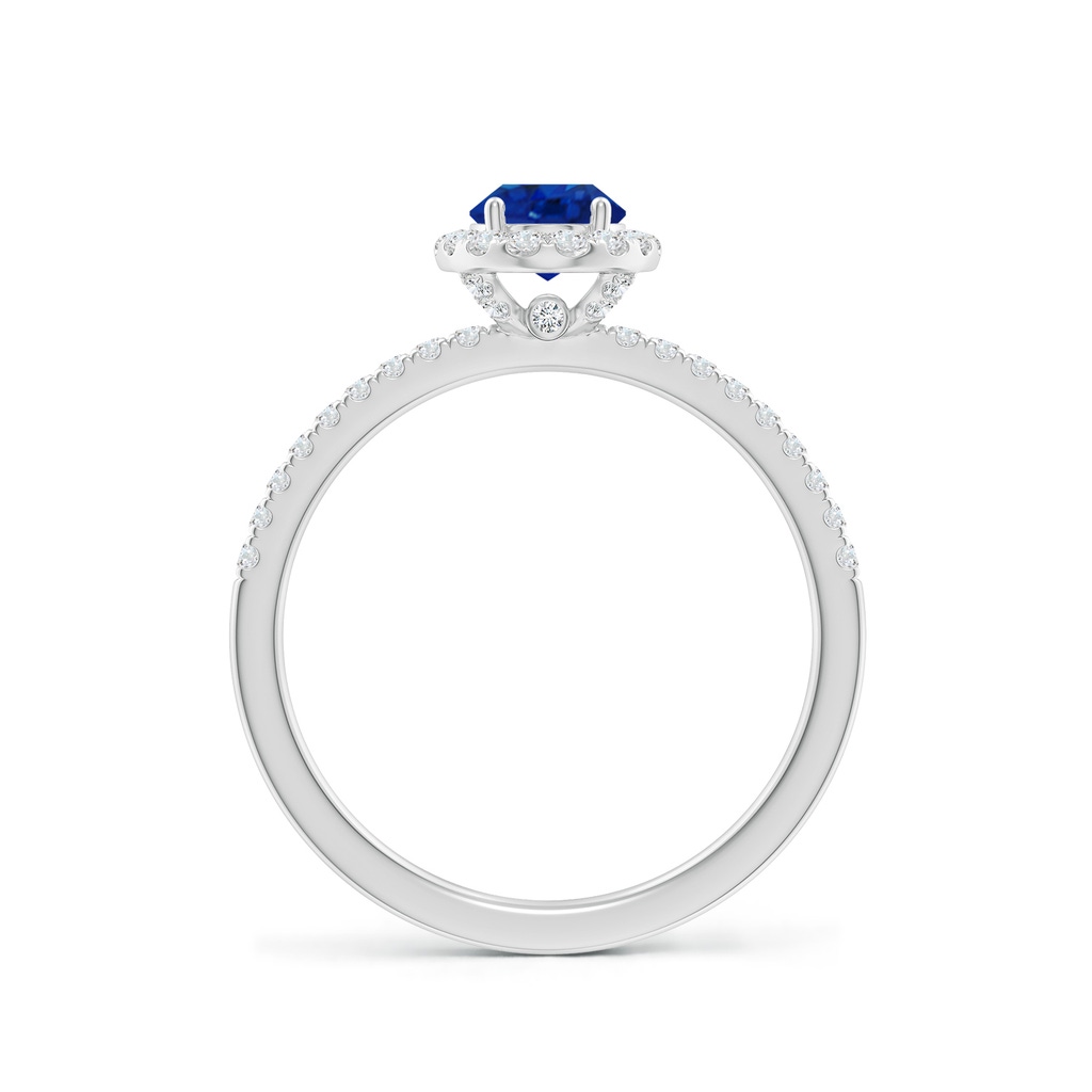 7x5mm AAA Oval Blue Sapphire Classic Halo Engagement Ring in White Gold - side 199
