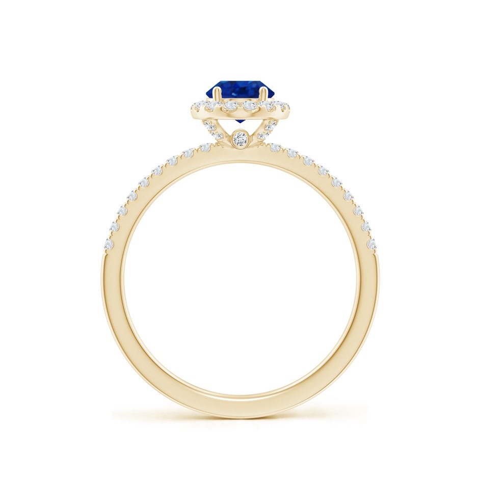 7x5mm AAA Oval Blue Sapphire Classic Halo Engagement Ring in Yellow Gold side 199