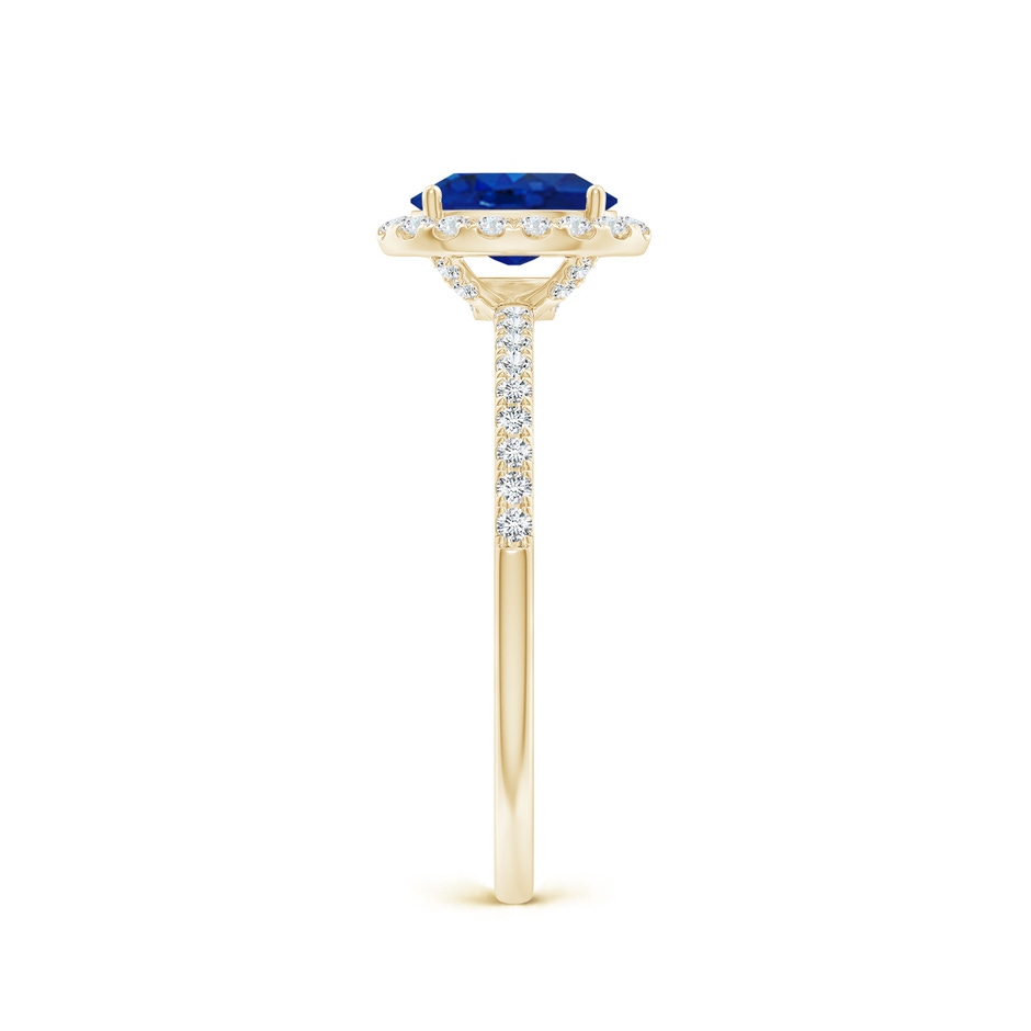 7x5mm AAA Oval Blue Sapphire Classic Halo Engagement Ring in Yellow Gold side 299