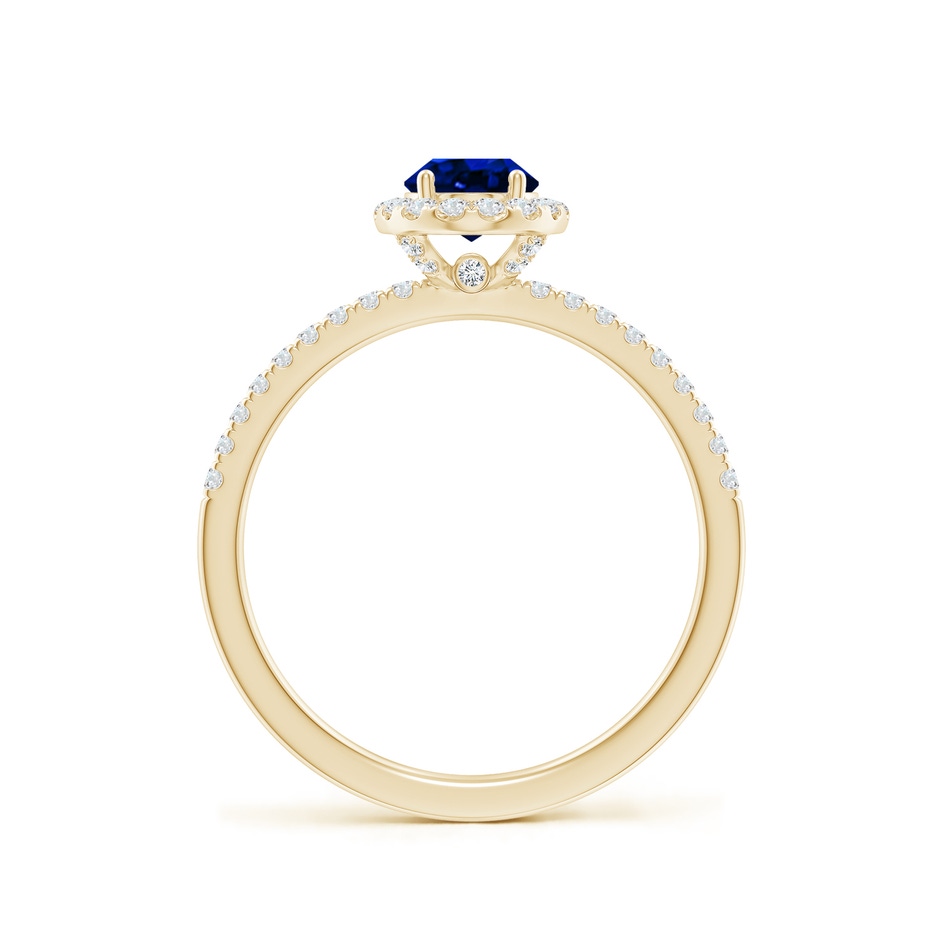 7x5mm AAAA Oval Blue Sapphire Classic Halo Engagement Ring in 9K Yellow Gold side 199