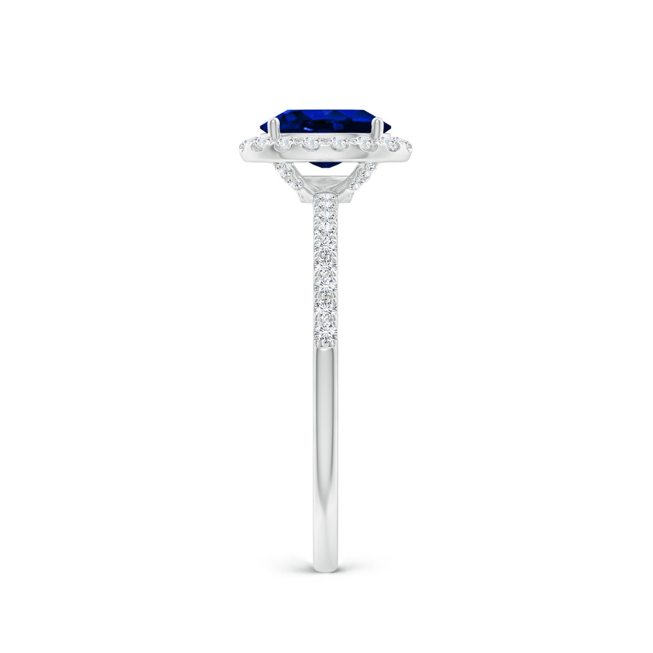 7x5mm AAAA Oval Blue Sapphire Classic Halo Engagement Ring in P950 Platinum side 299