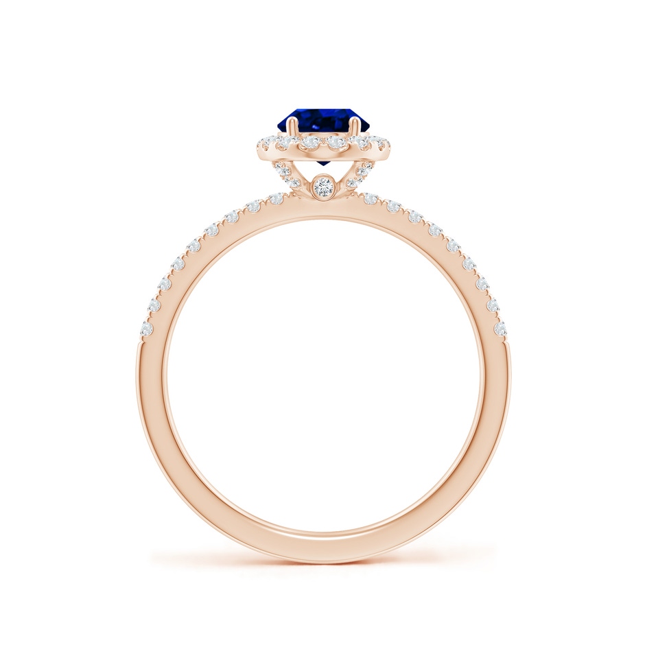 7x5mm AAAA Oval Blue Sapphire Classic Halo Engagement Ring in Rose Gold side 199