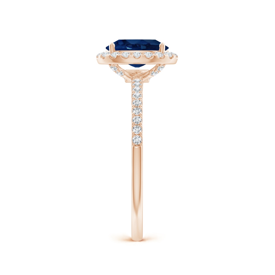 8x6mm AA Oval Blue Sapphire Classic Halo Engagement Ring in Rose Gold side 299