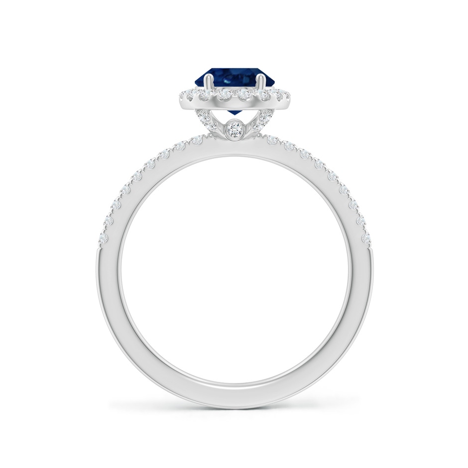 8x6mm AA Oval Blue Sapphire Classic Halo Engagement Ring in White Gold side 199