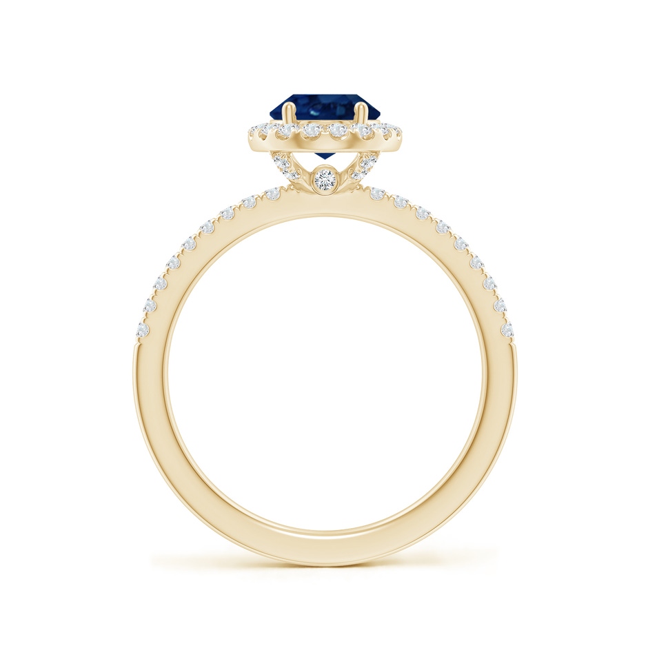 8x6mm AA Oval Blue Sapphire Classic Halo Engagement Ring in Yellow Gold side 199