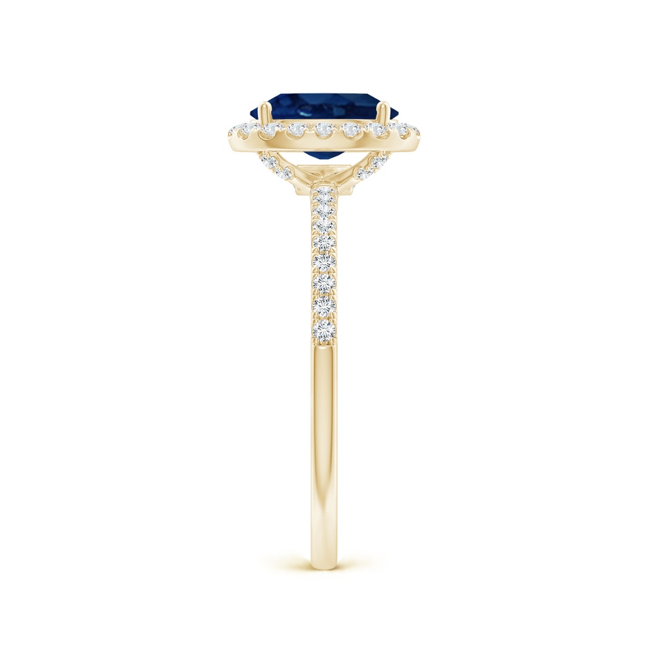 8x6mm AA Oval Blue Sapphire Classic Halo Engagement Ring in Yellow Gold side 299