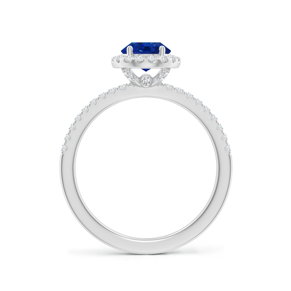 8x6mm AAA Oval Blue Sapphire Classic Halo Engagement Ring in P950 Platinum side 199