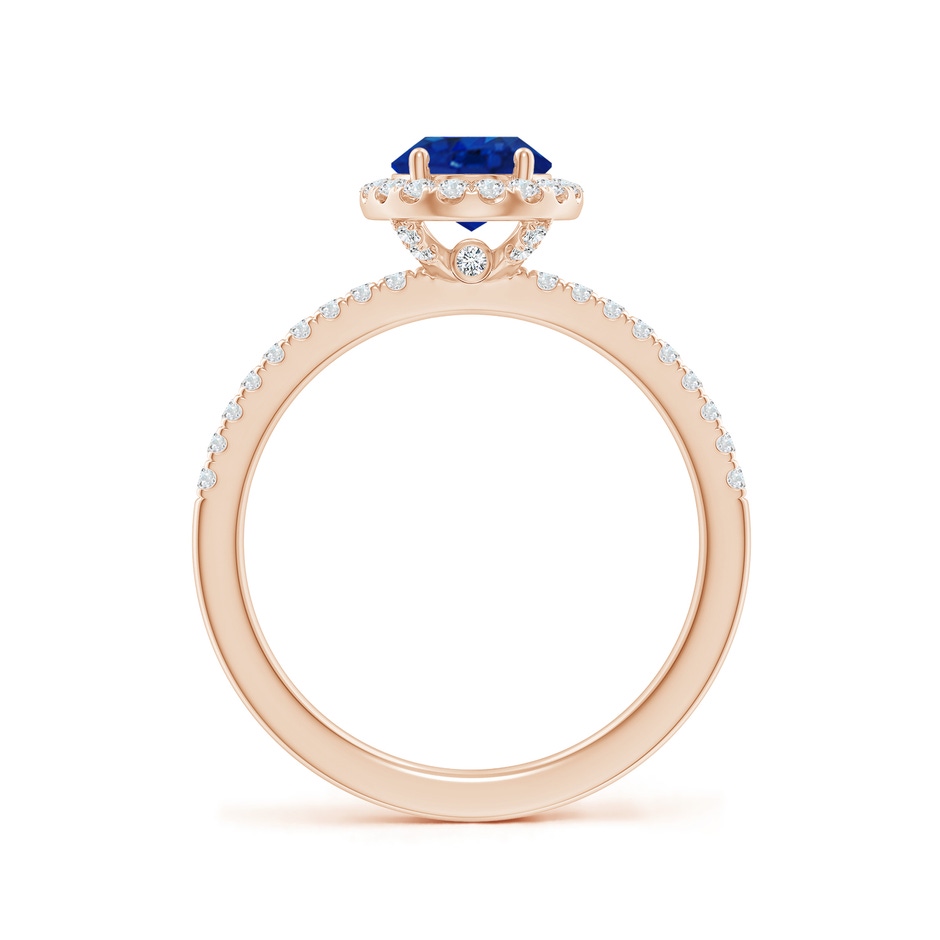 8x6mm AAA Oval Blue Sapphire Classic Halo Engagement Ring in Rose Gold side 199