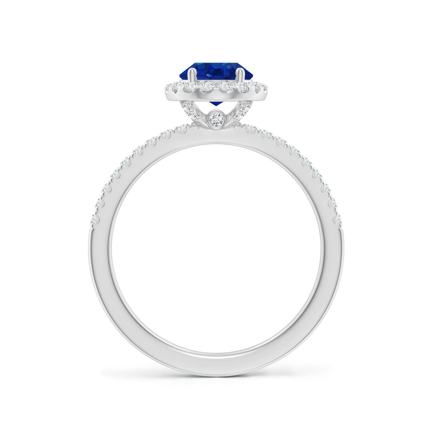8x6mm AAA Oval Blue Sapphire Classic Halo Engagement Ring in White Gold