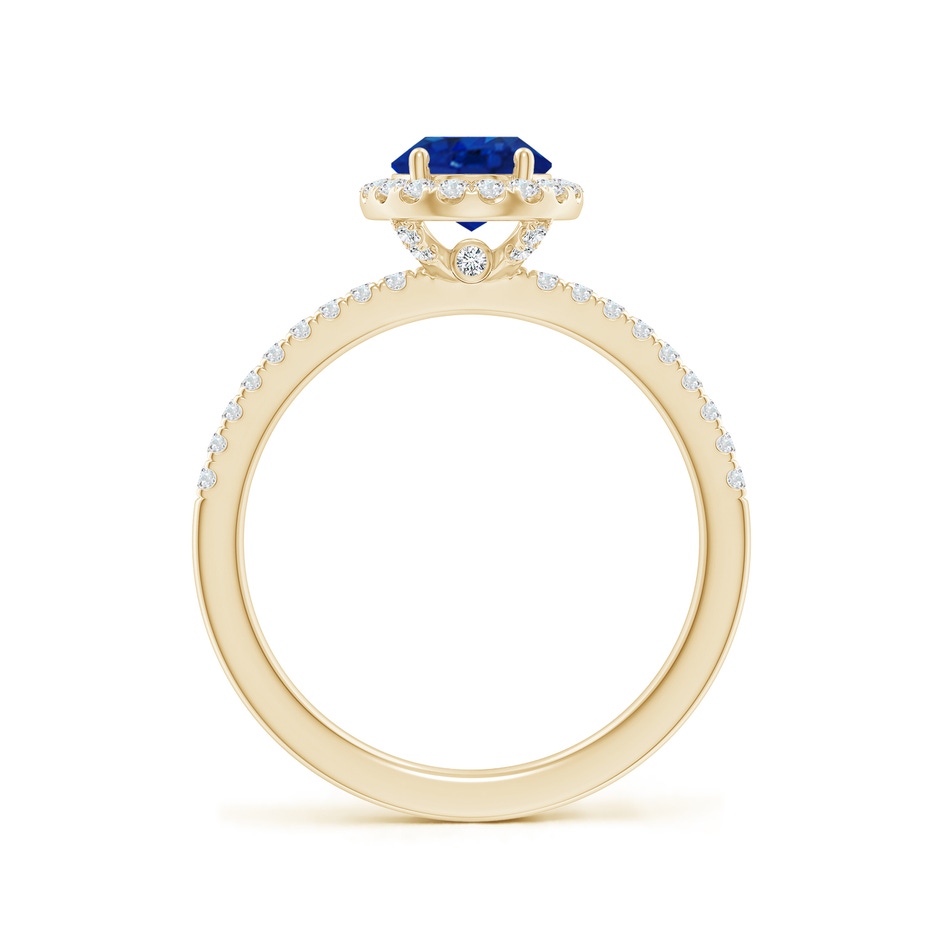 8x6mm AAA Oval Blue Sapphire Classic Halo Engagement Ring in Yellow Gold side 199