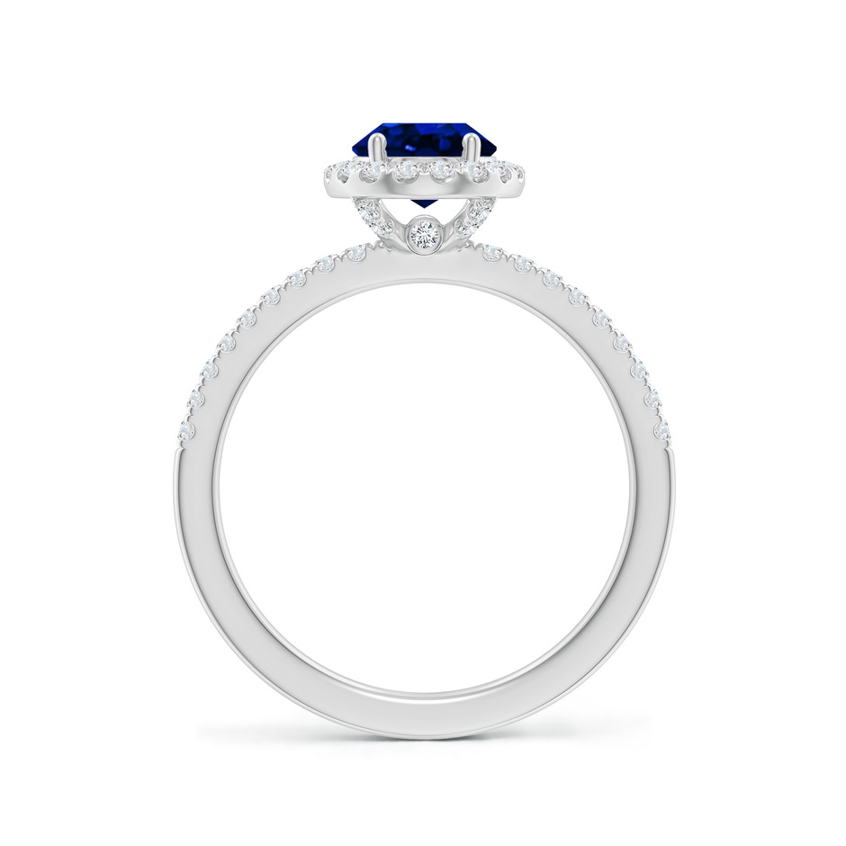 8x6mm AAAA Oval Blue Sapphire Classic Halo Engagement Ring in P950 Platinum side 199