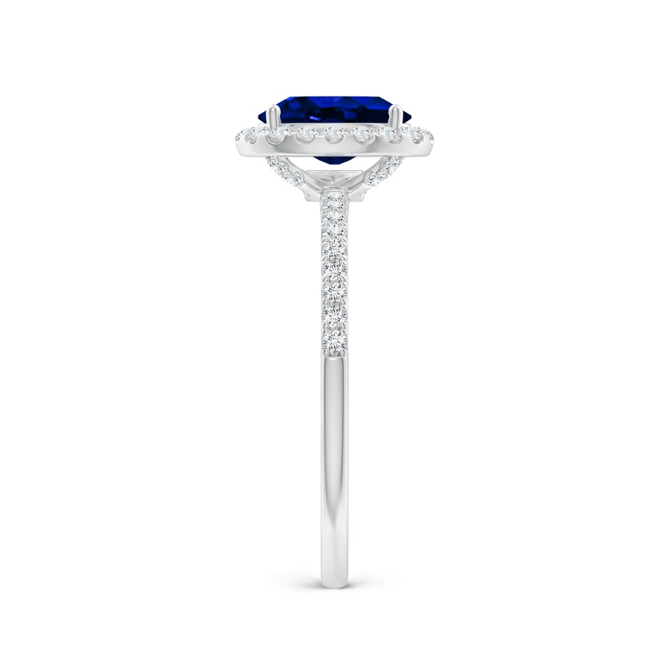 8x6mm AAAA Oval Blue Sapphire Classic Halo Engagement Ring in P950 Platinum side 299